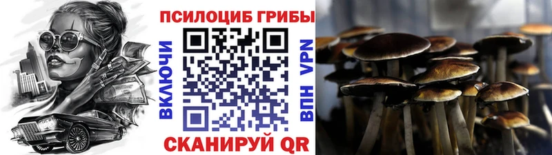 купить наркотики цена  кракен как зайти  Галлюциногенные грибы MAGIC MUSHROOMS  Мариинск 